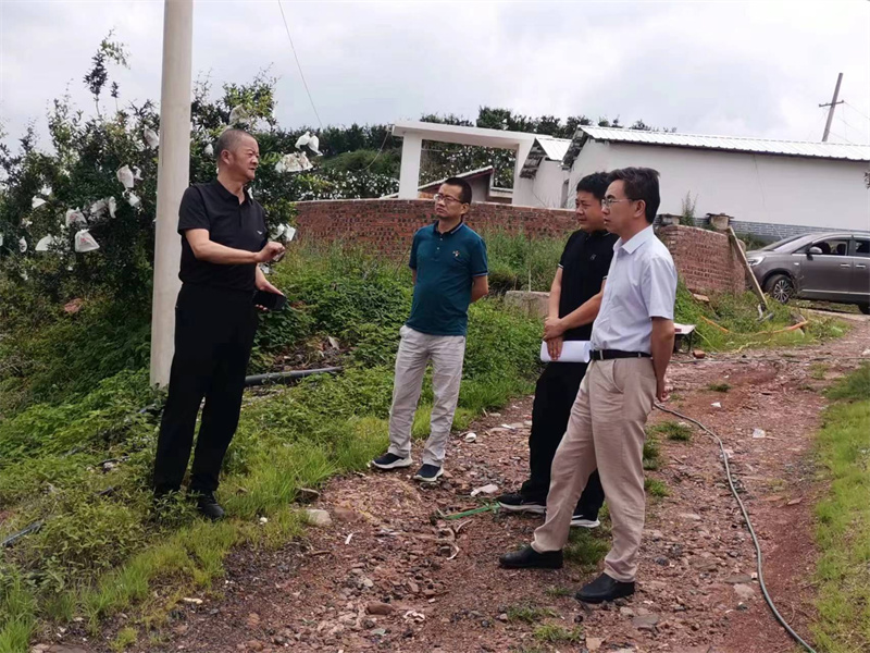 凉山工投集团公司董事、监事现场调研会理市陈家湾1.98MW分布式光伏发电项目