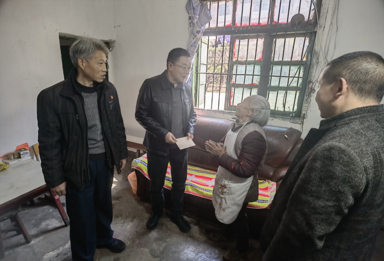 图片3