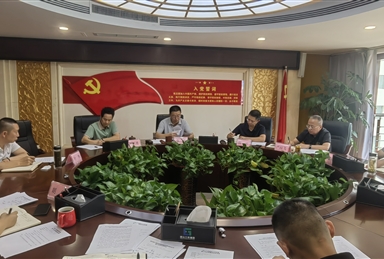凉山工投集团党委传达学习党的二十届三中全会精神